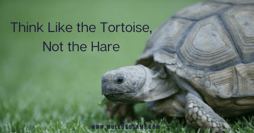 Think like the tortoise, not the hare